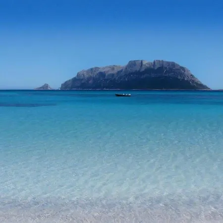 Ferienwohnung Fuer 5 Personen Ca 70 Qm In Pittulongu, Sardinien Gallura - B53985 Διαμέρισμα
